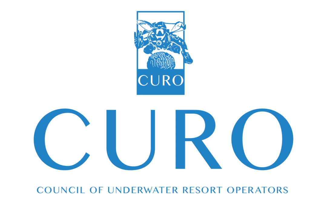 CURO Announces Relaunch in 2024
