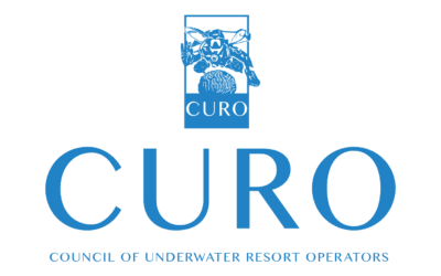 CURO Announces Relaunch in 2024