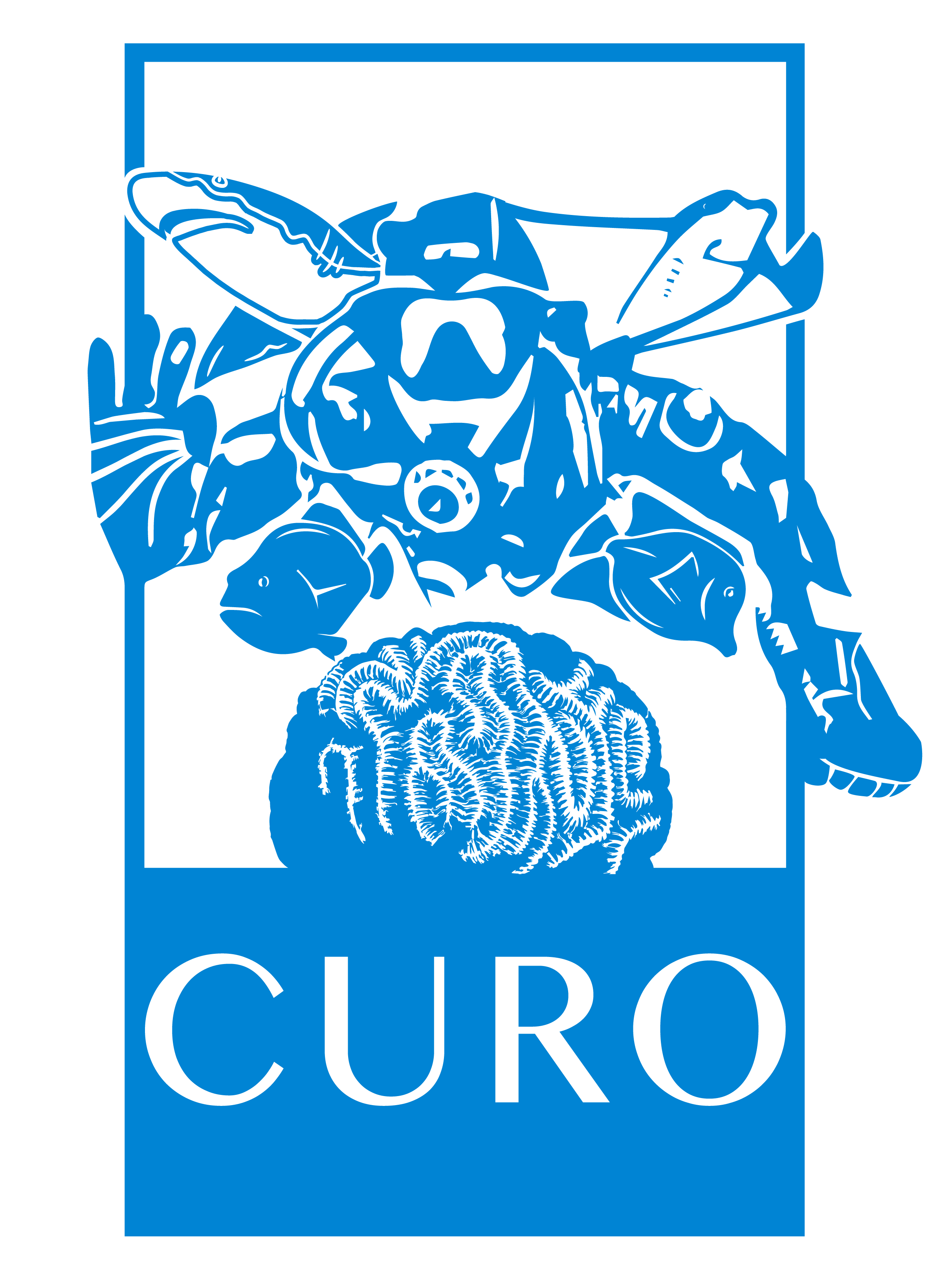 curo logo blue